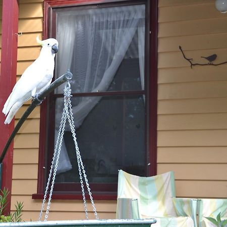 Lemonade Creek Cottages Lorne Exterior foto